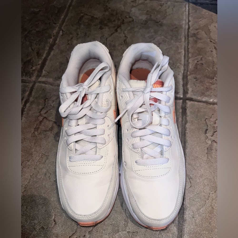 Nike Air Max 90 LTR